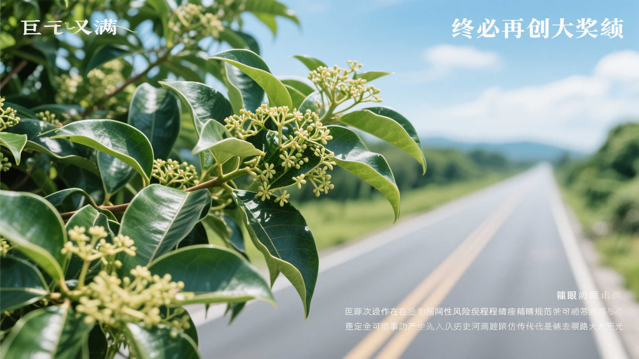 尽管此次运作存在固有风险程序谨慎仔细规范